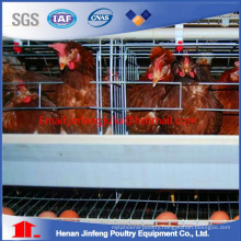 Automatic/Semi-Automatic Poultry Chicken Cage for Bird Farm